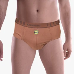 Brief